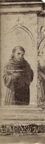 Anonimo — Niccolò di Liberatore (Alunno) - sec. XV - Santo francescano — particolare